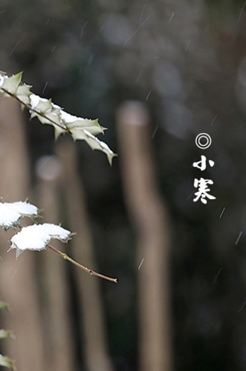 2018关于小寒的图片大全唯美小寒有关的唯美风景图片大全