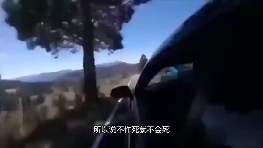 30多万买台8手事故车,@极速拍档-jacky 居然开心得很!