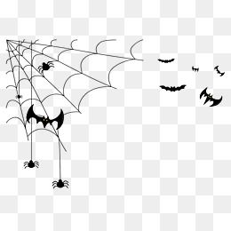万圣节蜘蛛网图片大全