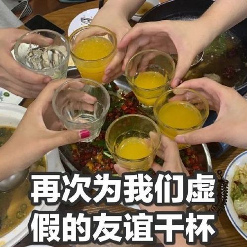 表情包可爱丨再次为我们虚伪的友谊干杯!