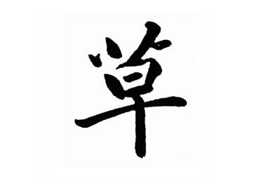 草:汉字的起源与演变(小学一年级语文生字 第61集)