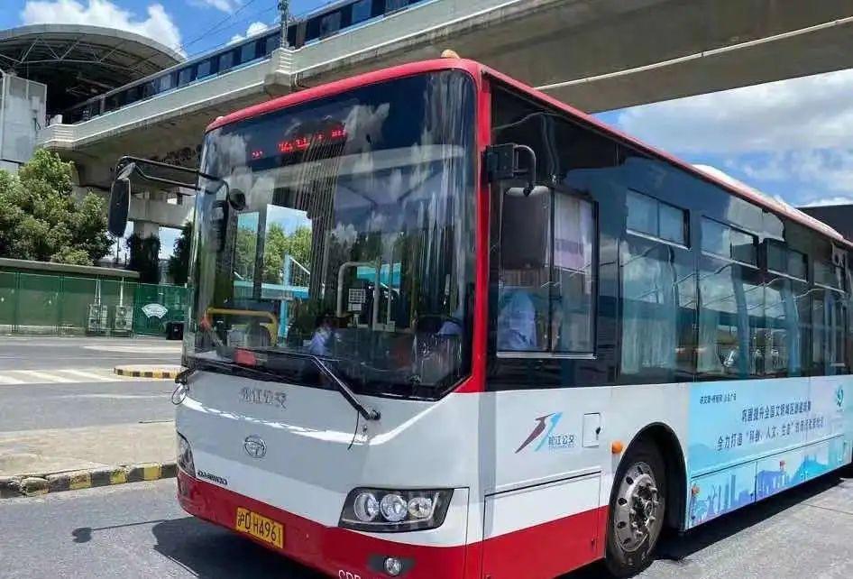 绿的红的黄的蓝的黑的白的粉的上海公交车竟然有这么多色号