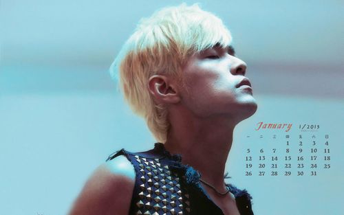 2015年1月日历歌坛天王jay周杰伦帅气个人写真高清桌面壁纸第一辑