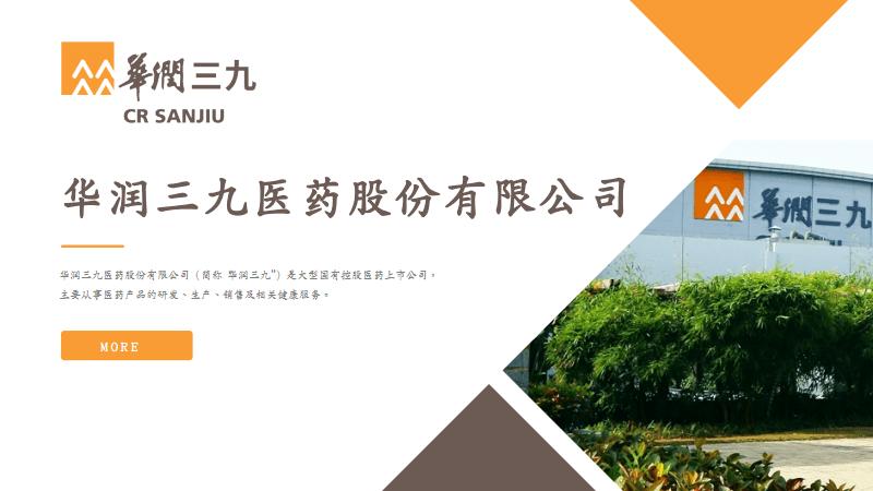 华润三九医药股份有限公司商务动态ppt模板pdf32页