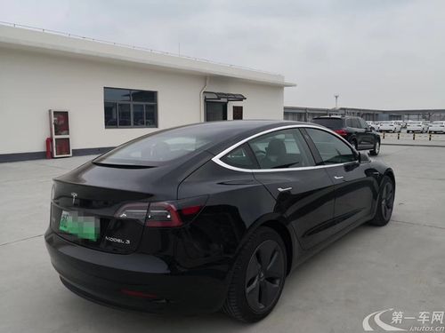 特斯拉model32020款自动改款长续航后轮驱动版纯电动