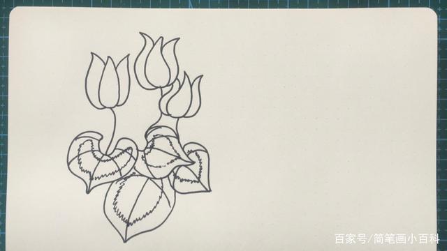 简笔画仙客来的画法,收藏起来吧