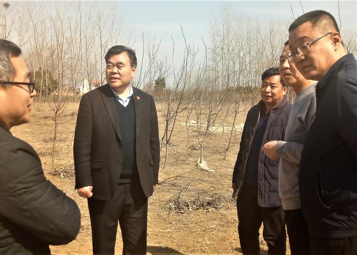 周口市委书记刘继标深入淮阳县大连乡察访脱贫攻坚工作