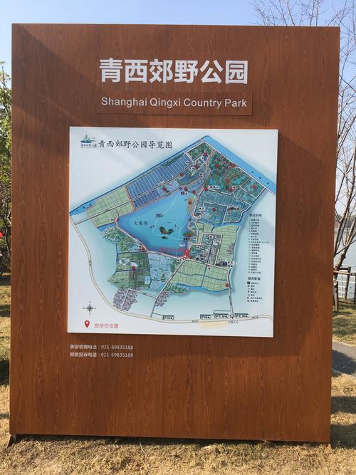 11月14日技校同学聚会,12月8日青西郊野公园