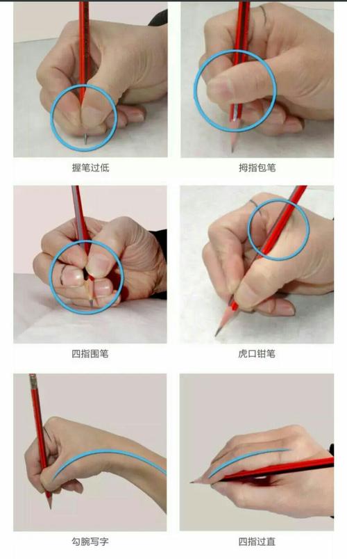 本期学习内容:培养正确的坐姿,握笔姿势,运笔姿势,汉字基本笔画,一