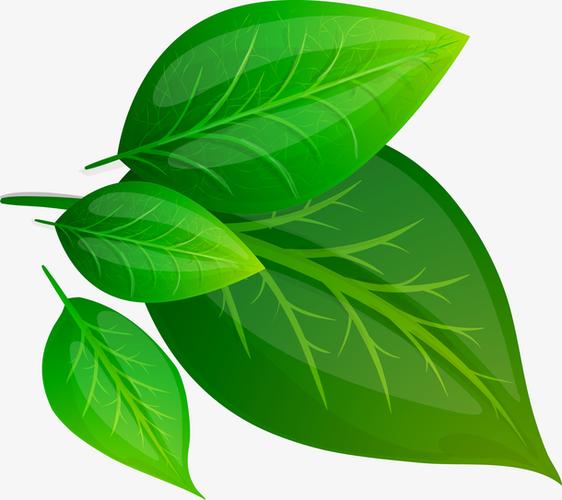 卡通手绘清新黑板