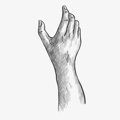 手抓东西手势素描