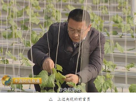郭磊,中国驻以色列原外交官.在山东潍坊的东惺惺村,有一个"神奇大棚".