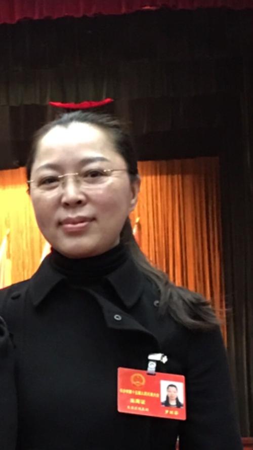 长沙市人大代表唐人万寿园董事长罗丽芬女士参加长沙市人大十五届二次