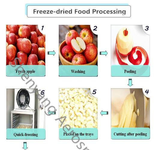 fruit, food, meat freeze dryer/high capacity vacuum food freeze
