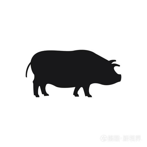 猪黑sihouette在白色背景新年标志