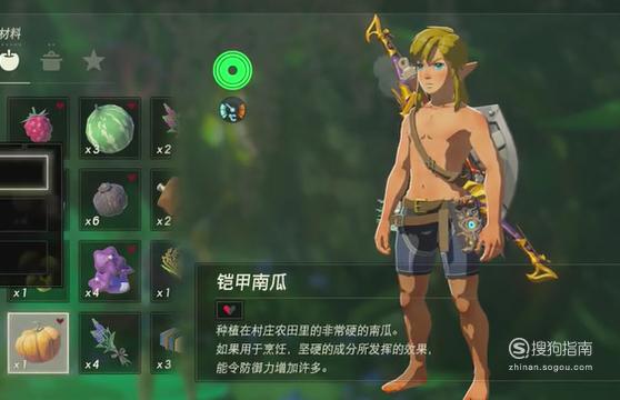 塞尔达传说支线海拉鲁猜谜试练任务攻略