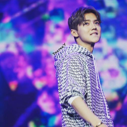 鹿晗大张伟演唱会