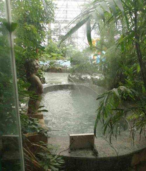 郑州雁鸣湖恐龙谷凌云温泉酒店-"我们去的人比较多,包