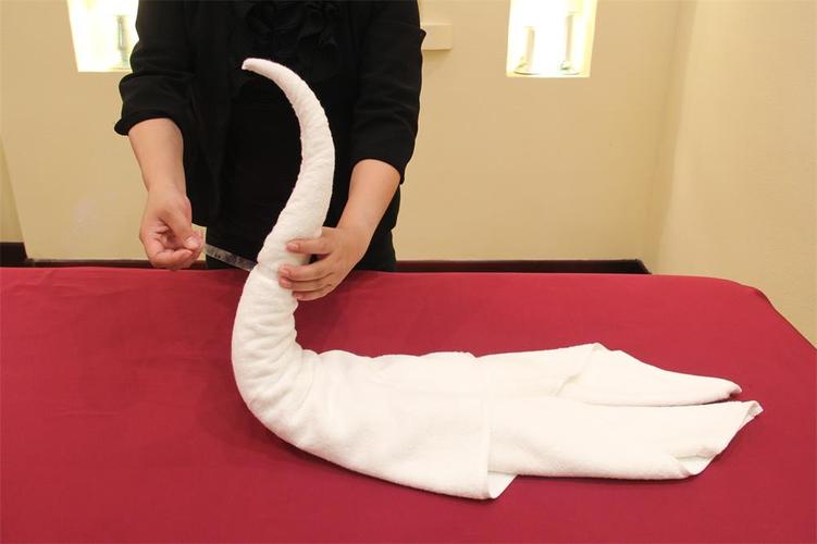 玩转毛巾叠法"小天鹅"