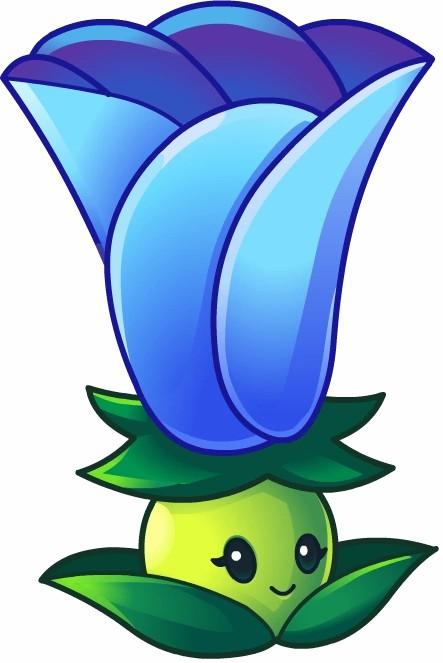 正常形态的月光花