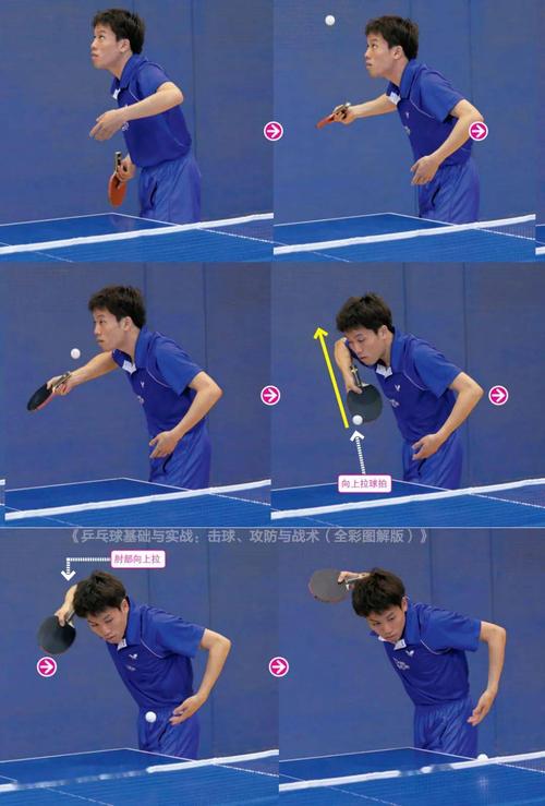 实战发球套路多,正反手发上旋球图文讲解!