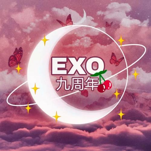 exo出道九周年快乐～应援头像呀