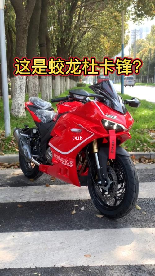 国产杜卡迪蛟龙400_摩托车_汽车_摩托车