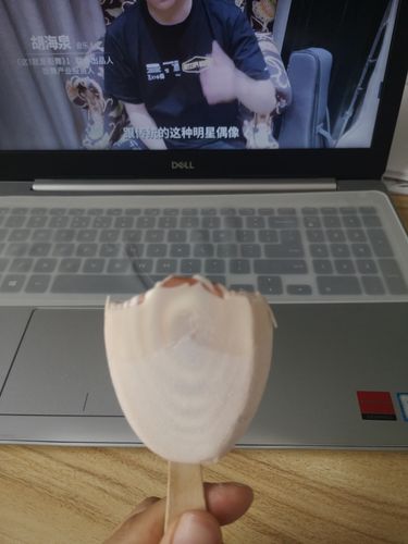 良堂- 偏执.