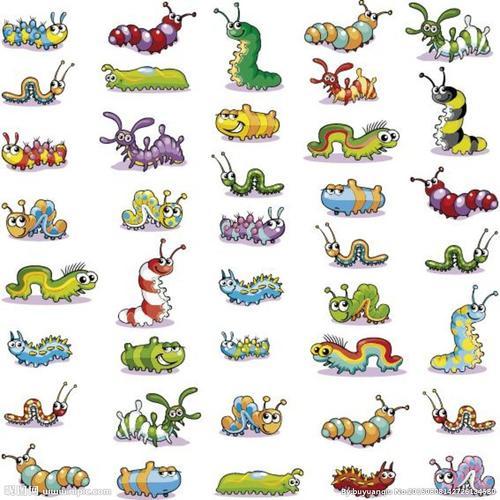 昆虫世界简笔画彩色