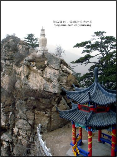 【健忘摄影】锦州北镇大芦花美景(四)