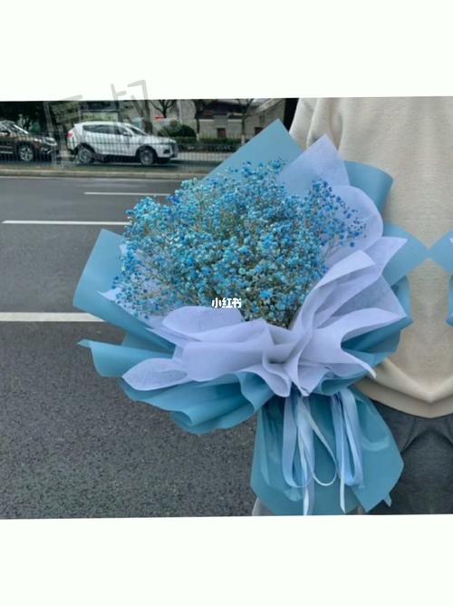 你负责和我见面 我负责给你带花 满天星/蓝色满天星_满天星_动漫_红薯