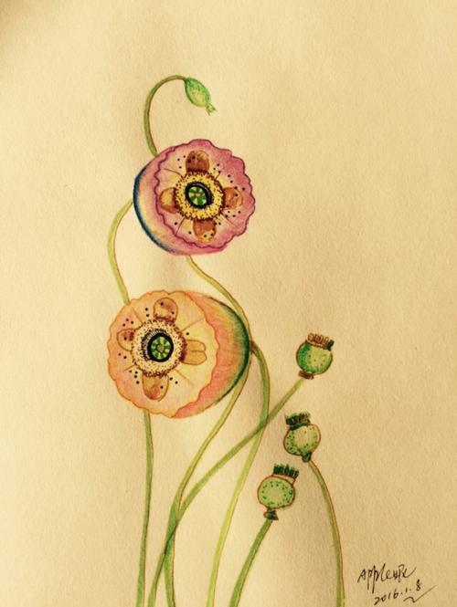 英国插画师的水彩画我改为了彩铅