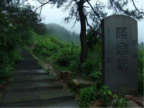 51放价徒步长兴城山古道观城山沟世外美景赏遍野杜鹃花盛开休闲徒步