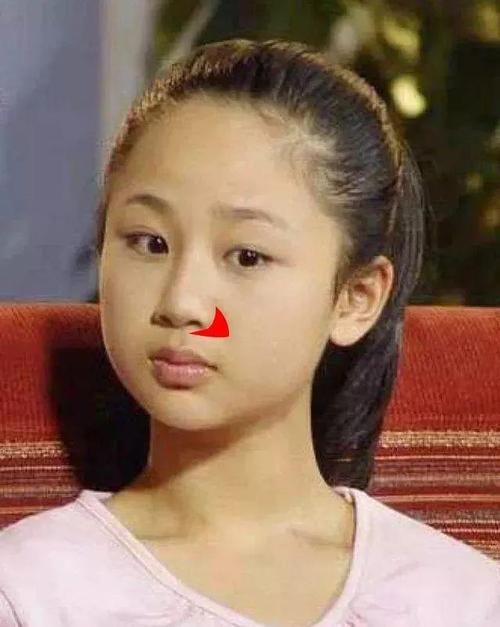 高圆圆,杨紫都有鼻基底凹陷的bug?学会提亮技巧,效果堪比整形