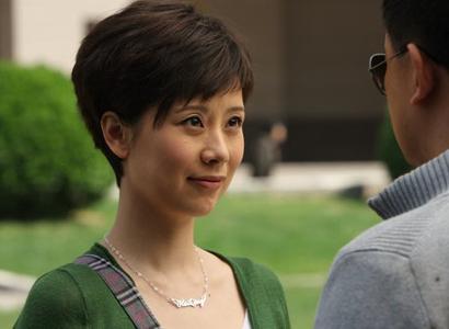 《媳妇的美好时代》将成就海清的全盛时代?