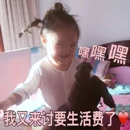 要零花钱专用表情包