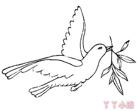 小朋友你们会画和平鸽的简笔画吗?象征和平的鸽子.