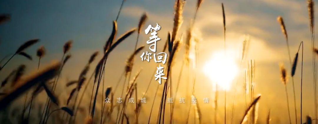 你叫醒我每个清晨等你凯旋归来等你回来你也会累你也会想回家你也害怕