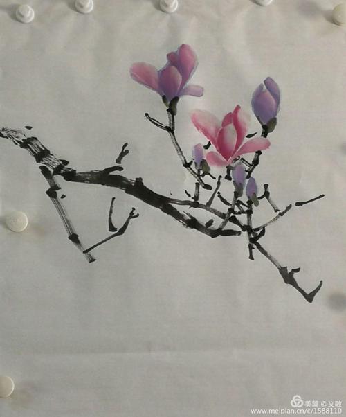 耿老师小写意花鸟中级二:7,辛夷和垂丝海棠的画法