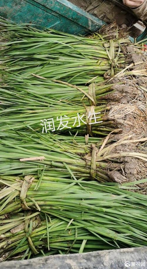 收藏供应              0          手机下单