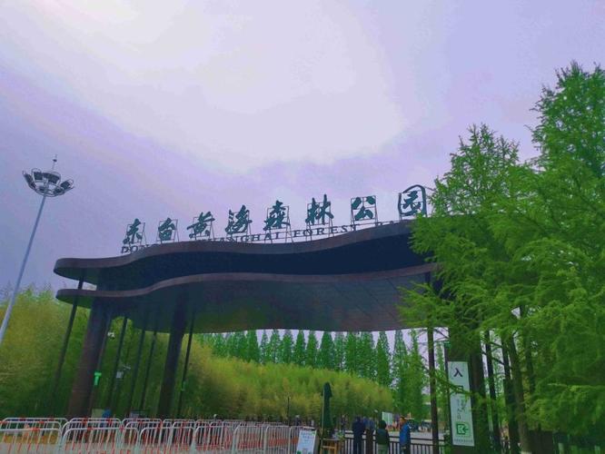 东台黄海森林公园