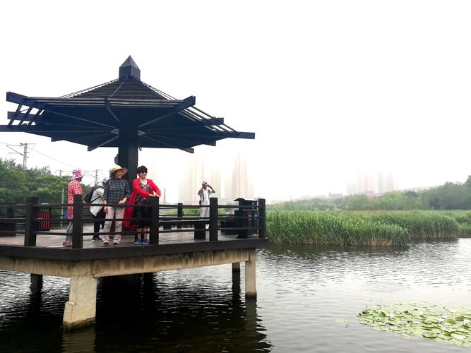 游大连湿地公园,东港