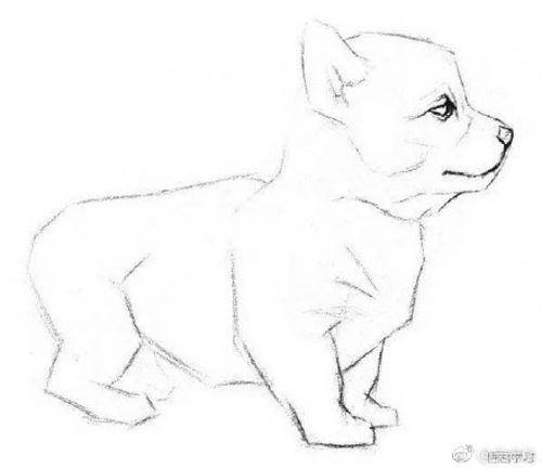 可爱的小狗狗侧身素描手绘画教程图片小狗狗素