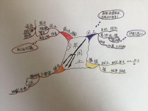 预习《少年闰土》