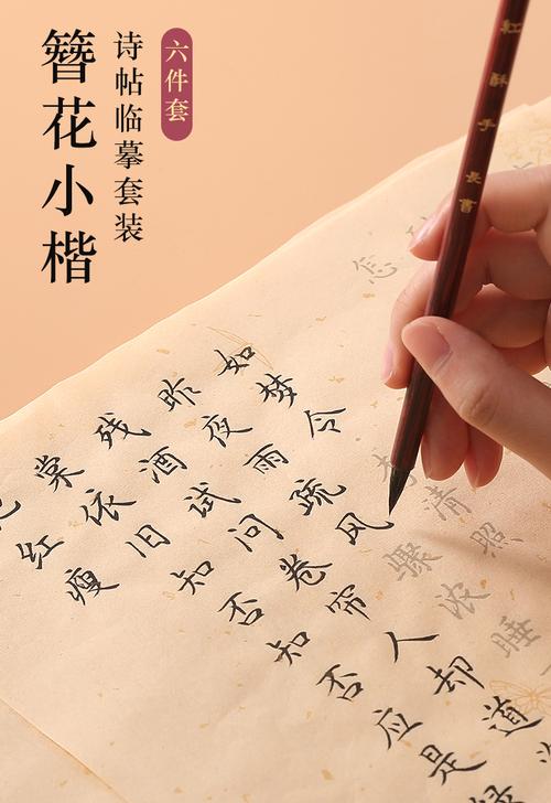 字帖初学者书法专用练习纸半生半熟宣纸软笔字心经簪花小楷仿古6件套