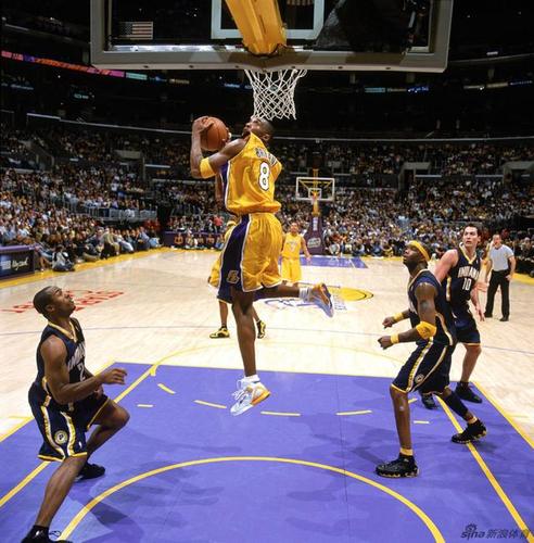 新浪体育精选科比-布莱恩特加入nba以来一百张扣篮高清大图,敬请欣赏