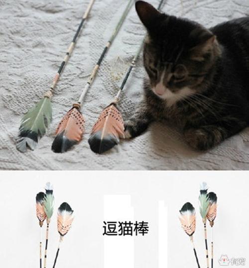 只需三步教你做出一支漂亮的逗猫棒!