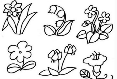 课程内容为手帐简笔画,对于我们19级学生每周一次的摘抄作业最为重要