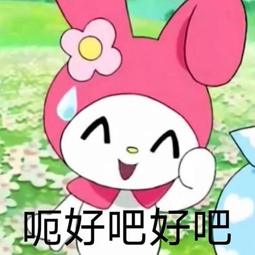 roniima的相册美乐蒂表情包