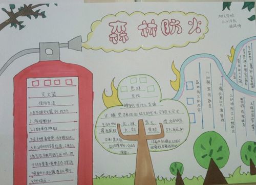 小手拉大手 共筑防火墙——树人小学六(4)班手抄报优秀作品